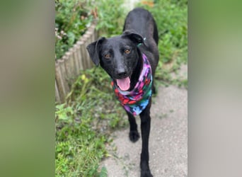 MYLA - schüchternes Mädchen sucht ihre Menschen