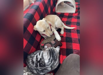 MELISSA - Zuhause gesucht