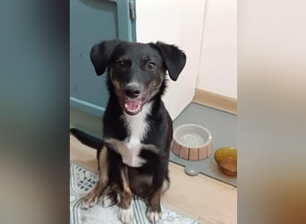 DORIS - Traumzuhause gesucht