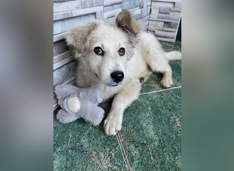 BETTY - wo findet sie ihr Glück?