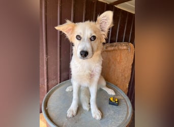 BETTY - wo findet sie ihr Glück? *reserviert*