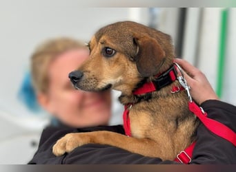 Update Benni: Auf einer PS in 32479 Hille