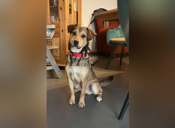 Update Benni: Auf einer PS in 32479 Hille