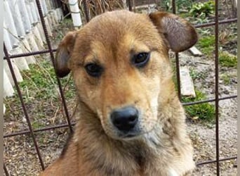 Update Benni: Auf einer PS in 32479 Hille