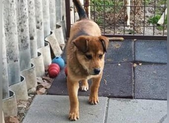 Update Benni: Auf einer PS in 32479 Hille