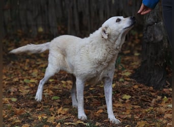 Ängstliche Bibi braucht ruhe und Verständnis