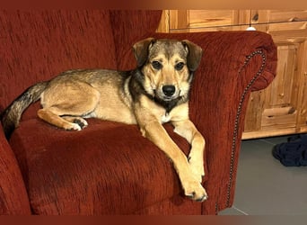 Update Benni: Auf einer PS in 32479 Hille