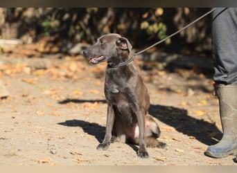 Blue: fröhlich und offen