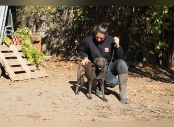 Blue: fröhlich und offen