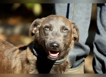 Blue: fröhlich und offen