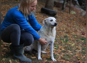 Ängstliche Bibi braucht ruhe und Verständnis
