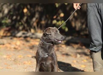 Blue: fröhlich und offen