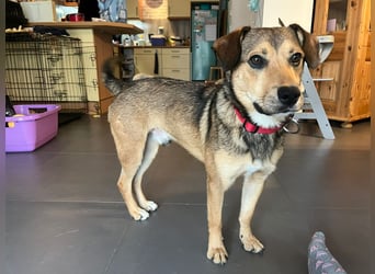 Update Benni: Auf einer PS in 32479 Hille