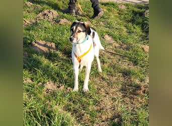 Bella wünscht sich ein eigenes Zuhause