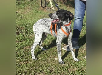 Toby wünscht sich ein eigenes Körbchen
