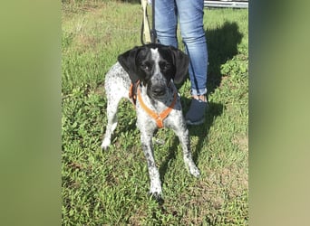 Toby wünscht sich ein eigenes Körbchen