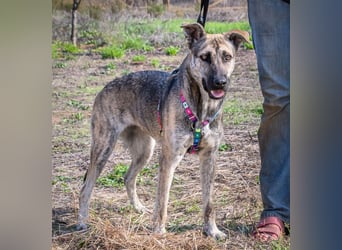 Jennifer – ein liebes Mädchen