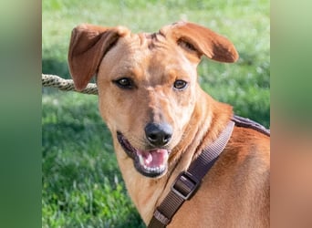 Ciana - eine sanfte Nachzüglerin