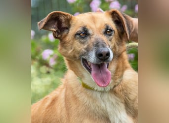 Sunny – eine selbstbewusste Dame