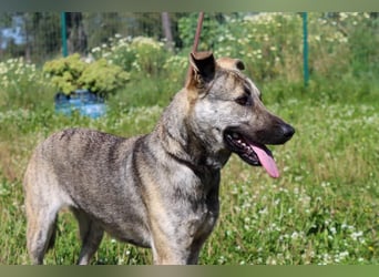 Jennifer – ein liebes Mädchen