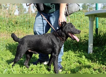 Matteus – ein sanfter Begleiter