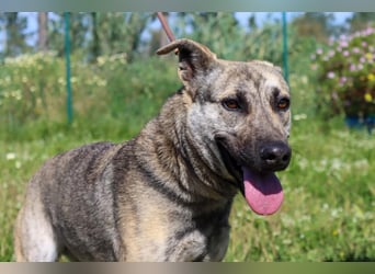 Jennifer – ein liebes Mädchen