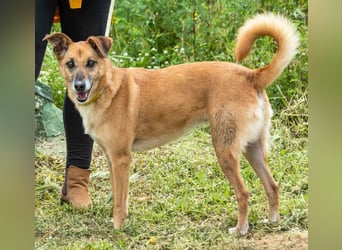 Sunny – eine selbstbewusste Dame