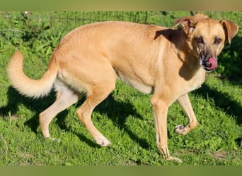 Sunny – eine selbstbewusste Dame