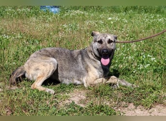 Jennifer – ein liebes Mädchen