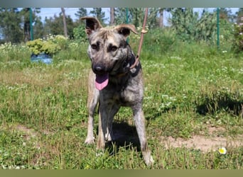 Jennifer – ein liebes Mädchen