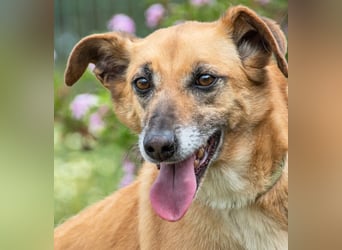 Sunny – eine selbstbewusste Dame