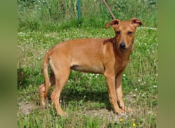 Ciana - eine sanfte Nachzüglerin