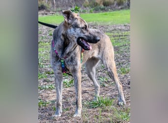 Jennifer – ein liebes Mädchen