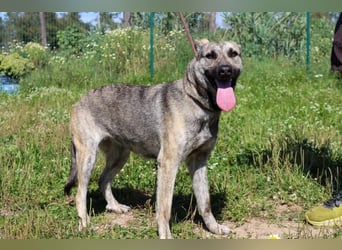 Jennifer – ein liebes Mädchen