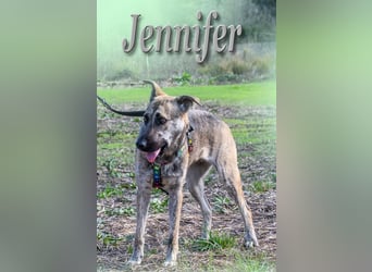 Jennifer – ein liebes Mädchen