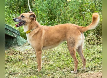 Sunny – eine selbstbewusste Dame