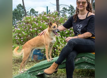 Sunny – eine selbstbewusste Dame