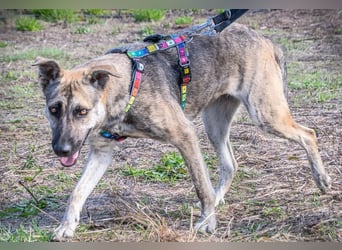 Jennifer – ein liebes Mädchen