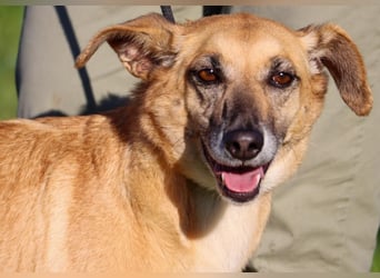 Sunny – eine selbstbewusste Dame