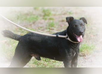 Matteus – ein sanfter Begleiter