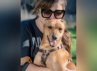 Ciana - eine sanfte Nachzüglerin