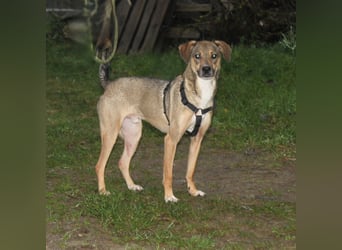 Nero - Glück und Liebe im zweiten Anlauf?