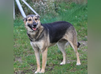 Maja - wo darf ich Zuhause sein?