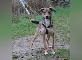 Nero - Glück und Liebe im zweiten Anlauf?