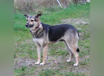 Maja - wo darf ich Zuhause sein?