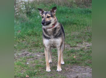 Maja - wo darf ich Zuhause sein?