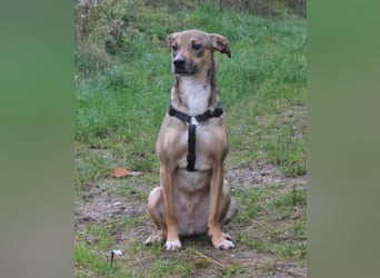 Nero - Glück und Liebe im zweiten Anlauf?