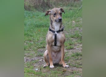 Nero - Glück und Liebe im zweiten Anlauf?