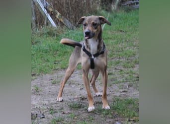 Nero - Glück und Liebe im zweiten Anlauf?