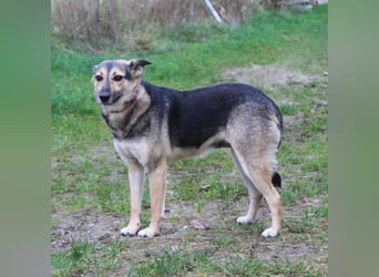 Maja - wo darf ich Zuhause sein?